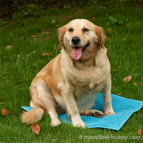 serviette de bain sèche de haute qualité pour chien et chat